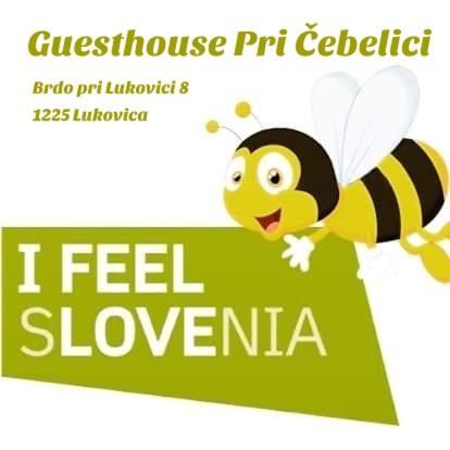 Guesthouse Pri Cebelici Lukovica pri Domzalah Екстер'єр фото