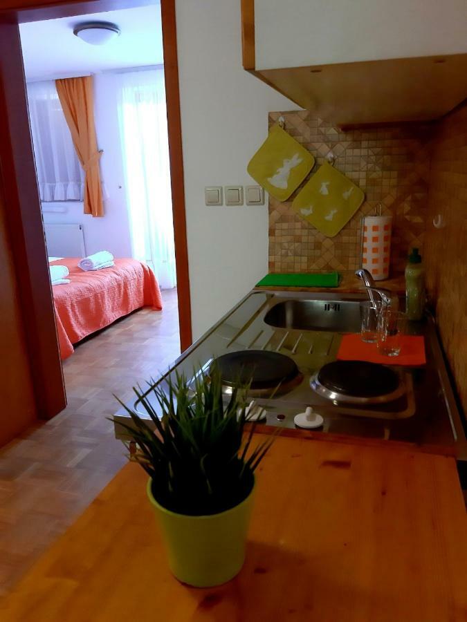 Guesthouse Pri Cebelici Lukovica pri Domzalah Екстер'єр фото
